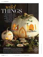 Better Homes & Gardens October 2019 Magazine Article: Wild THINGS