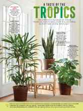 Better Homes & Gardens October 2019 Magazine Article: A TASTE OF THE TROPICS