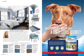 Better Homes & Gardens October 2019 Magazine Article: Page 28