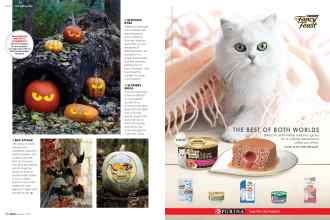 Better Homes & Gardens October 2019 Magazine Article: Page 36