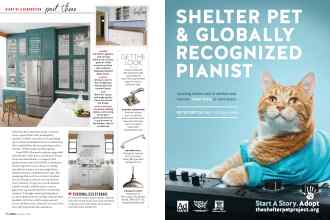 Better Homes & Gardens October 2019 Magazine Article: Page 60