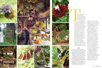 Better Homes & Gardens October 2019 Magazine Article: Page 112