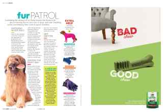 Better Homes & Gardens October 2019 Magazine Article: Page 146