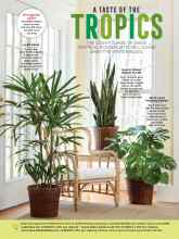 Better Homes & Gardens November 2019 Magazine Article: A TASTE OF THE TROPICS
