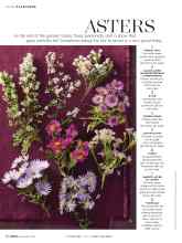 Better Homes & Gardens November 2019 Magazine Article: ASTERS