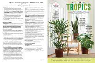 Better Homes & Gardens November 2019 Magazine Article: Page 46