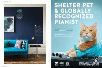 Better Homes & Gardens November 2019 Magazine Article: Page 52