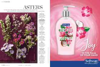 Better Homes & Gardens November 2019 Magazine Article: Page 62