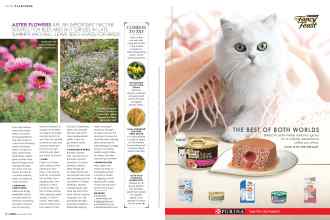 Better Homes & Gardens November 2019 Magazine Article: Page 64