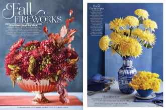 Better Homes & Gardens November 2019 Magazine Article: Fall FIREWORKS
