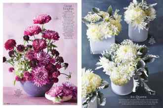 Better Homes & Gardens November 2019 Magazine Article: Page 114