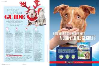 Better Homes & Gardens December 2019 Magazine Article: Page 138