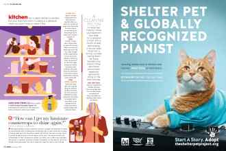 Better Homes & Gardens January 2020 Magazine Article: Page 38