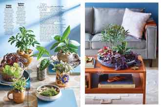 Better Homes & Gardens February 2020 Magazine Article: Page 74