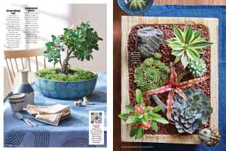 Better Homes & Gardens February 2020 Magazine Article: Page 76