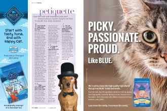 Better Homes & Gardens February 2020 Magazine Article: Page 110