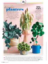 Better Homes & Gardens March 2020 Magazine Article: Decorative planters
