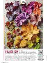 Better Homes & Gardens March 2020 Magazine Article: FOLIAGE IS IN