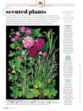 Better Homes & Gardens March 2020 Magazine Article: NEW AND NOSTALGIC scented plants