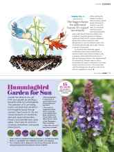 Better Homes & Gardens March 2020 Magazine Article: Hummingbird Garden for Sun