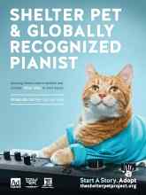 Better Homes & Gardens March 2020 Magazine Article: Page Z2