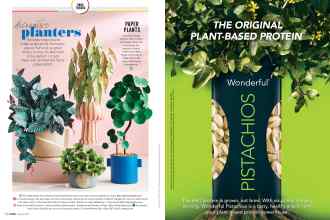 Better Homes & Gardens March 2020 Magazine Article: Page 12