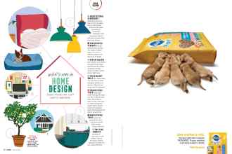 Better Homes & Gardens March 2020 Magazine Article: Page 16