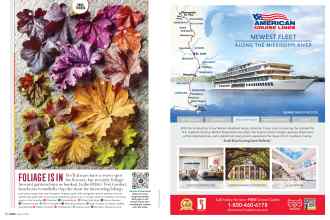 Better Homes & Gardens March 2020 Magazine Article: Page 18