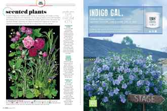 Better Homes & Gardens March 2020 Magazine Article: Page 40