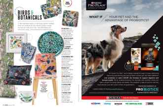 Better Homes & Gardens March 2020 Magazine Article: Page 46