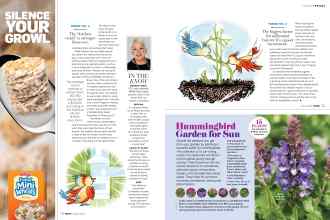 Better Homes & Gardens March 2020 Magazine Article: Page 72