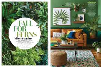 Better Homes & Gardens March 2020 Magazine Article: FALL FOR FERNS (all over again)