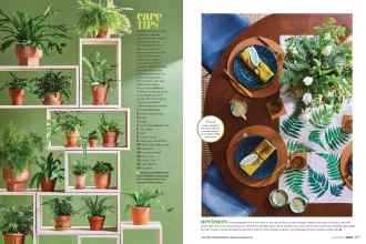 Better Homes & Gardens March 2020 Magazine Article: Page 106