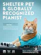 Better Homes & Gardens April 2020 Magazine Article: Page Z2