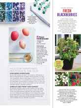 Better Homes & Gardens April 2020 Magazine Article: FRESH BLACKBERRIES