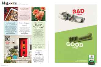 Better Homes & Gardens April 2020 Magazine Article: Page 6
