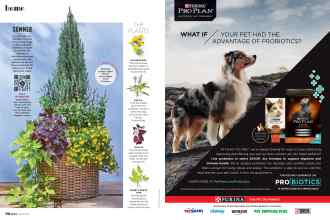 Better Homes & Gardens April 2020 Magazine Article: Page 70