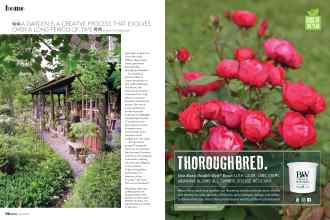 Better Homes & Gardens April 2020 Magazine Article: Page 78