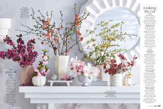 Better Homes & Gardens April 2020 Magazine Article: Page 110