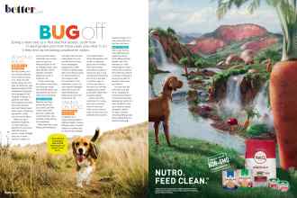 Better Homes & Gardens April 2020 Magazine Article: Page 146
