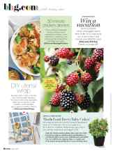 Better Homes & Gardens May 2020 Magazine Article: 'Bushel and Berry Baby Cakes'