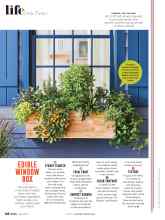 Better Homes & Gardens May 2020 Magazine Article: EDIBLE WINDOW BOX