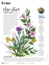 Better Homes & Gardens May 2020 Magazine Article: The dirt