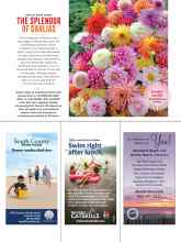 Better Homes & Gardens May 2020 Magazine Article: THE SPLENDOR OF DAHLIAS