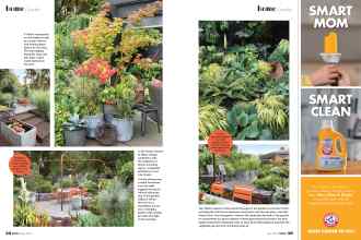 Better Homes & Gardens May 2020 Magazine Article: Page 56
