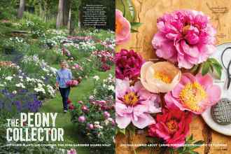 Better Homes & Gardens May 2020 Magazine Article: THE PEONY COLLECTOR