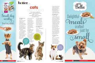 Better Homes & Gardens May 2020 Magazine Article: Cats decoded
