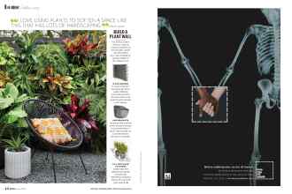 Better Homes & Gardens June 2020 Magazine Article: Page 44