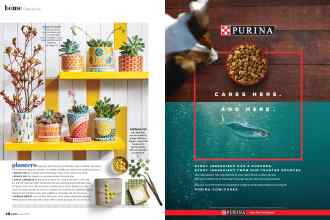 Better Homes & Gardens June 2020 Magazine Article: Page 48