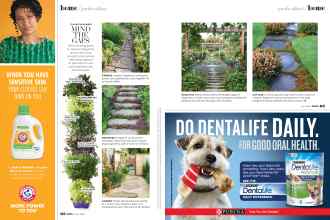 Better Homes & Gardens June 2020 Magazine Article: Page 62